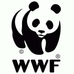 5x1000 al WWF